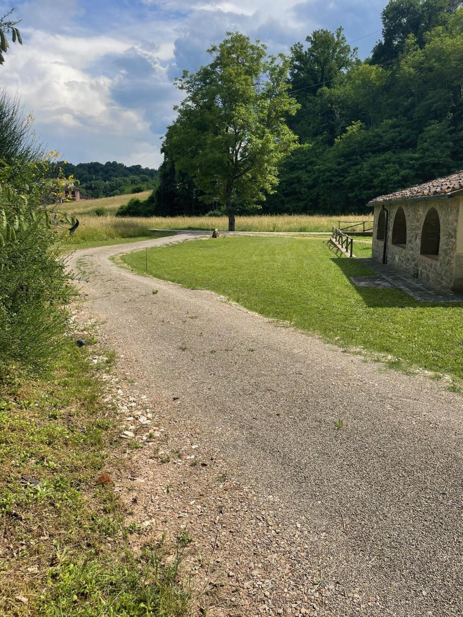 Gioconda casa vacanze Villa Montevarchi Eksteriør bilde